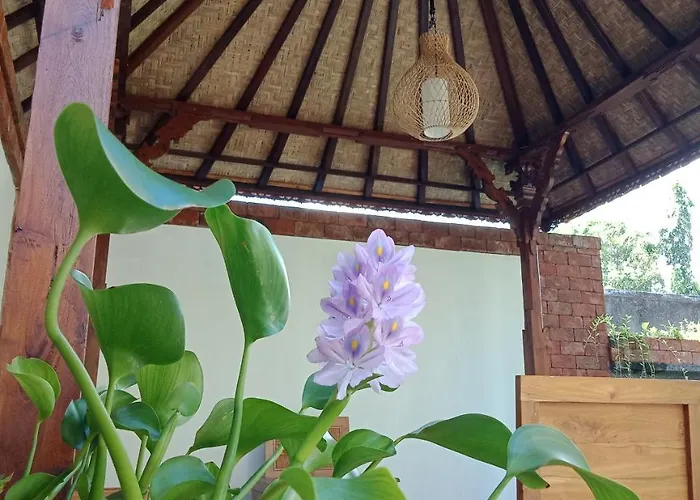 Séjour chez l'habitant D'puja And Spa *